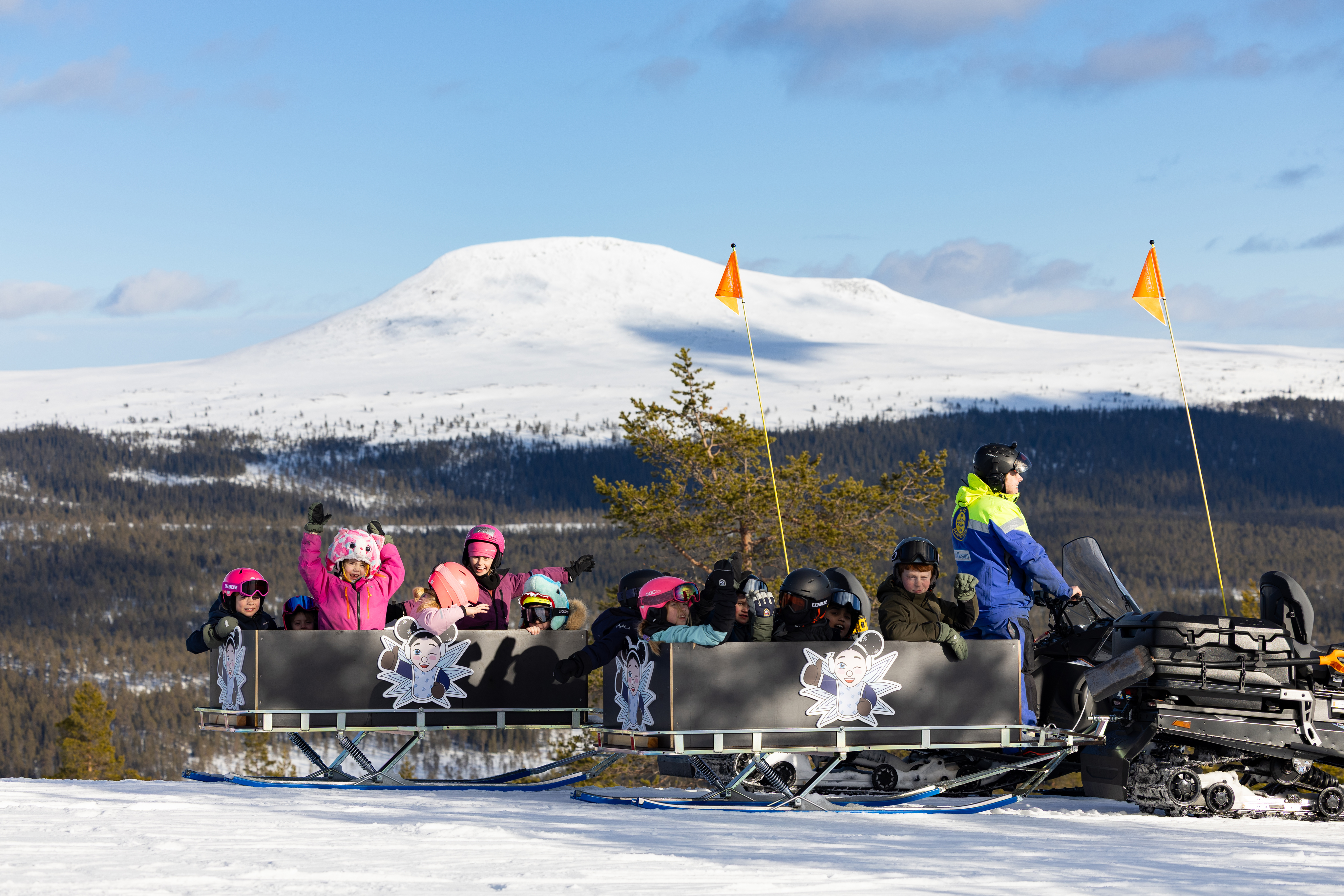 IHF_8355_250227.jpg (1).