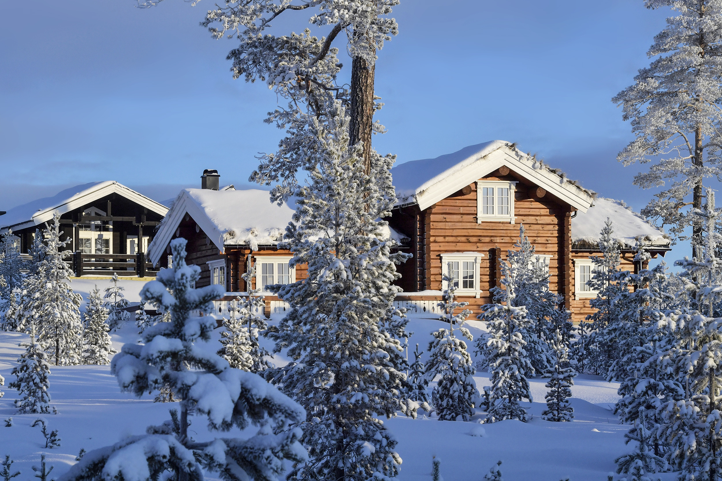 IH_Foto_Nisse Schmidt_2019_07.jpg.